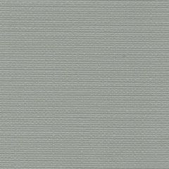 Patio Lane Spaliner 97 Light Grey Upholstery Fabric