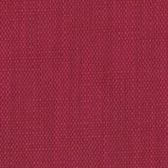 Perennials Rough 'n Rowdy Hibiscus 955-334 Beyond the Bend Collection Upholstery Fabric
