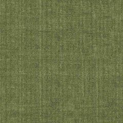 Kravet Design Green 29429-130 Indoor Upholstery Fabric