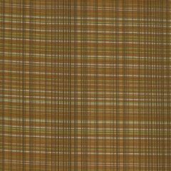 Robert Allen Contract Cronos-Tuscan 245722 Decor Upholstery Fabric