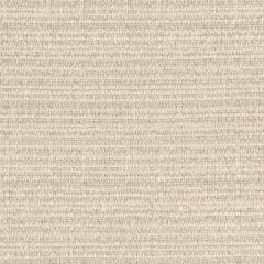Perennials Crepe Du Jour Parchment 973-02 Camp Wannagetaway Collection Upholstery Fabric