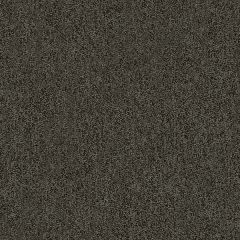 Kravet Basics Grey 31779-811 Indoor Upholstery Fabric