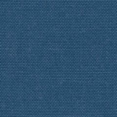 Perennials Canvas Weave Blueberry 600-213 More Amore Collection Upholstery Fabric