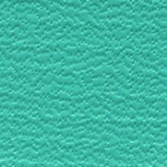 Weblon Coastline Plus Aquamarine CP-2744 Awning Fabric