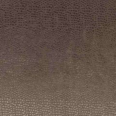 Clarke and Clarke Pulse Charcoal F0469-03 Tempo Collection Upholstery Fabric