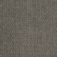 Beacon Hill Casello-Warm Gray 239016 Decor Upholstery Fabric