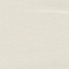 F. Schumacher Brisa White 303-5747 Ultraleather Collection