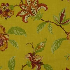 Robert Allen Les Fauves Sunshine 190948 Multipurpose Fabric