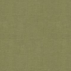 Lee Jofa Dublin Linen Lichen 2012175-23 Multipurpose Fabric