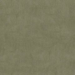 Kravet Design Grey 33125 -2311 Indoor Upholstery Fabric