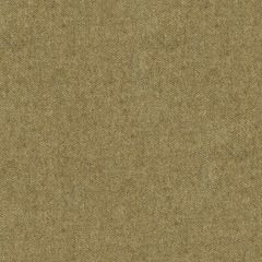 Kravet Picacho Sage 33815-316 Museum of New Mexico Collection Indoor Upholstery Fabric