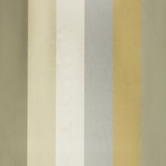 Beacon Hill Edo Stripe Platinum 243464 Maravilha Collection Multipurpose Fabric