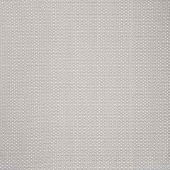 F Schumacher Queen B II Grey 176562 Indoor / Outdoor by Studio Bon Collection Upholstery Fabric