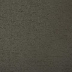 Kravet Contract Optima Bronco 21 Indoor Upholstery Fabric