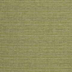 Robert Allen Contract Bremond Cactus 246929 Indoor Upholstery Fabric