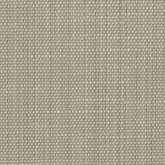 Perennials Rough Copy Oatmeal 956-279 Uncorked Collection Upholstery Fabric
