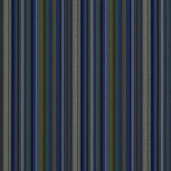 Robert Allen Contract Rivertrail Tourmaline 246926 Indoor Upholstery Fabric