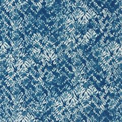 Scalamandre Fiji Weave Caribe SC 000227199 Isola Collection Indoor / Outdoor Drapery Fabric