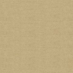 Kravet Venetian Wheat 31326-1166 Indoor Upholstery Fabric