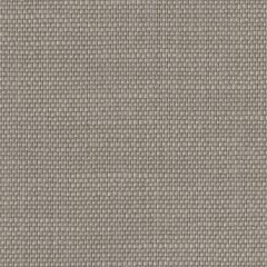 Perennials Rough 'n Rowdy Tin 955-297 Beyond the Bend Collection Upholstery Fabric