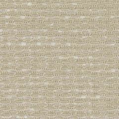 Beacon Hill Wild Side Cream 218330 Plush Chenille Solids Collection Indoor Upholstery Fabric