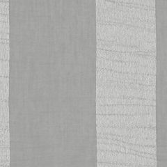 Clarke and Clarke Lucido Charcoal / Gilver F1281-03 Drapery Fabric