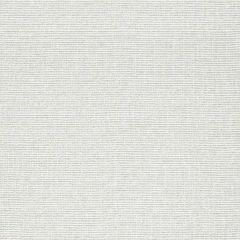 F. Schumacher Galapagos Sheer Zinc 67360 Au Natural Collection