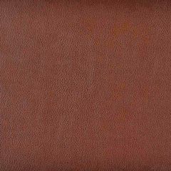 Kravet Design Brown Sparta 6 Indoor Upholstery Fabric