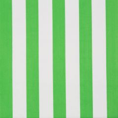 Lee Jofa Surf Stripe Palm Green 2016117-123 Lilly Pulitzer II Collection Indoor Upholstery Fabric