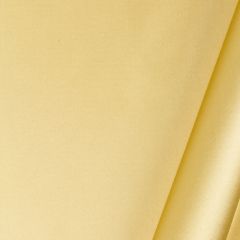 Beacon Hill Prism Satin-Honey 230640 Decor Drapery Fabric