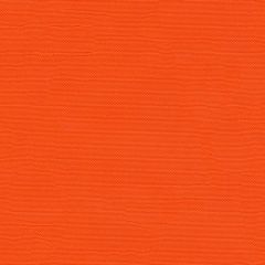 ABBEYSHEA Defender 46 Bright Orange Indoor Upholstery Fabric