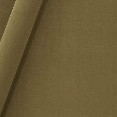 Robert Allen Forever Velvet Grain 245470 Durable Velvets Collection Indoor Upholstery Fabric
