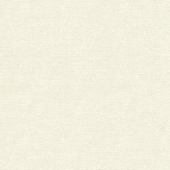 Kravet Basics White 30421-1110 Perfect Plains Collection Multipurpose Fabric