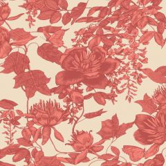 Cole and Son Tivoli Coral 99-7033 Wall Covering