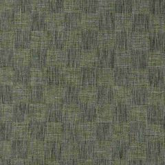 Robert Allen Barely Square Jade 509365 Epicurean Collection Multipurpose Fabric