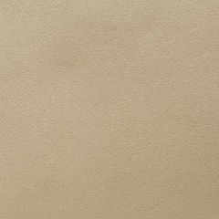 Old World Weavers Scottish Leather Fr Tullbardine DG 38640001 Essential Leathers / Suedes / Hides Collection Contract Indoor Fabric
