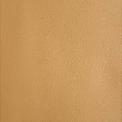 Old World Weavers Scottish Leather Fr Ramasaig DG 39970001 Essential Leathers / Suedes / Hides Collection Contract Indoor Fabric