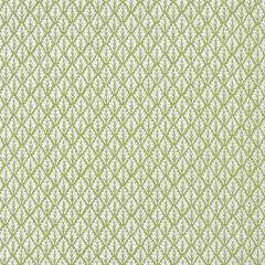 Kravet Basics Dorso Olive -23 Multipurpose Fabric
