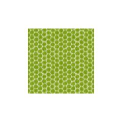 Kravet Design Dotkat Glade 3  by Echo Design Multipurpose Fabric