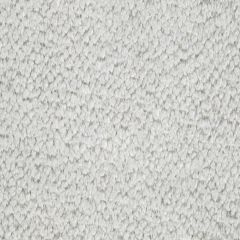 Beacon Hill Torri Solid Platinum 242344 Plush Chenille Solids Collection Indoor Upholstery Fabric