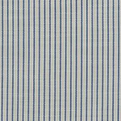 Perennials Tick Tock Stripe Denim 807-282 The Usual Suspects Collection Upholstery Fabric