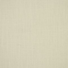 Robert Allen Jaden White 193633 Multipurpose Fabric