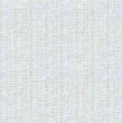 Kravet Basics 4512-101 Drapery Fabric