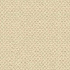 Kravet Sunbrella Beige 25807-1111 Guaranteed in Stock Upholstery Fabric