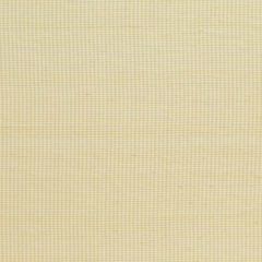 F. Schumacher Dalton Silk Gingham Straw 3449001 Chroma Collection