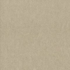 Stout Moore Dusk 39 Timeless Velvets Collection Indoor Upholstery Fabric
