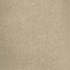 Olympus Oat OLY275ADF Multipurpose Upholstery Fabric