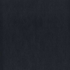 Stout Elbert Navy 9 Leather Looks III Performance Collection Indoor Upholstery Fabric