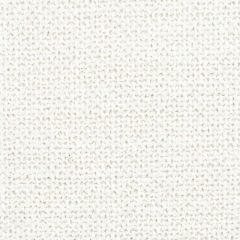 Stout Jinx Bone 1 Light N' Easy Performance Collection Indoor Upholstery Fabric