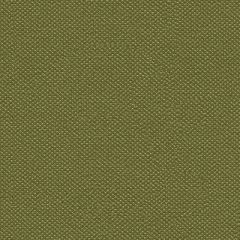 Silvertex 8820 Basil Contract Marine Automotive and Healthcare Seating Upholstery Fabric